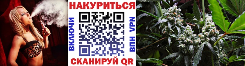 закладки Грайворон Шишки марихуана Ganja